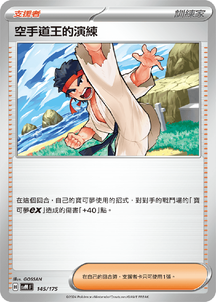 空手道王的演練 145/175