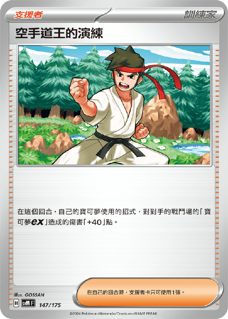 空手道王的演練 147/175