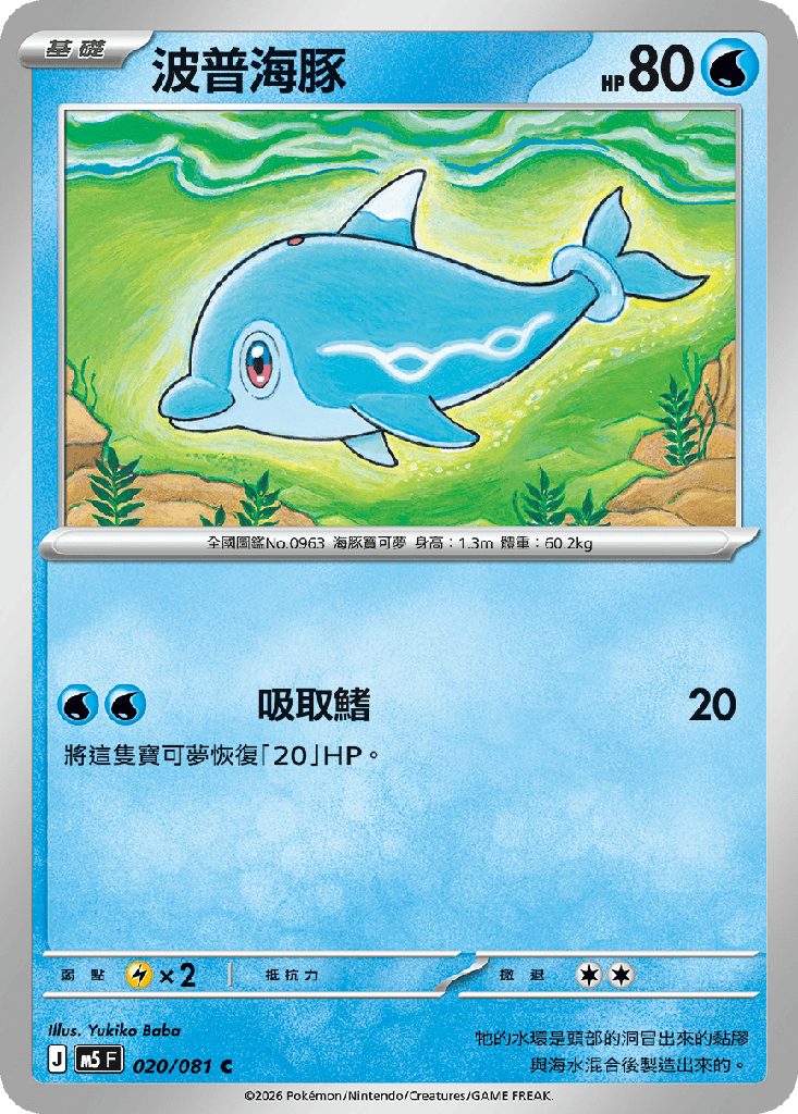 波普海豚 020/081