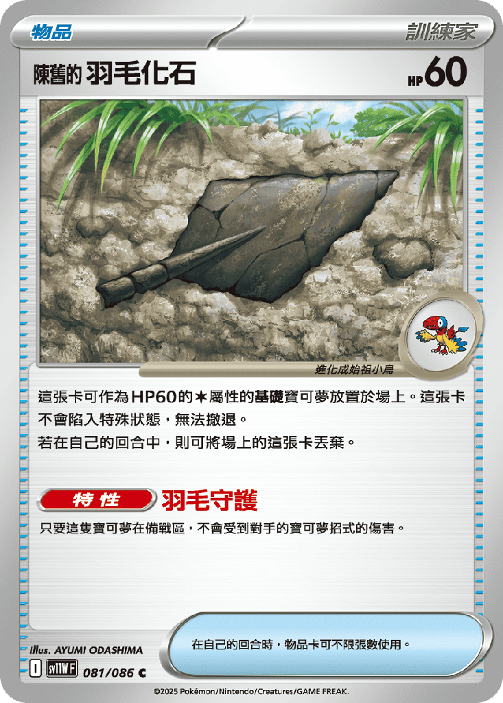 陳舊的羽毛化石 081/086