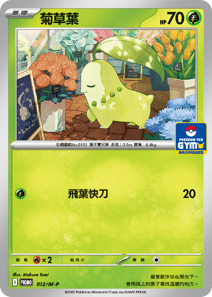 菊草葉 012/M-P