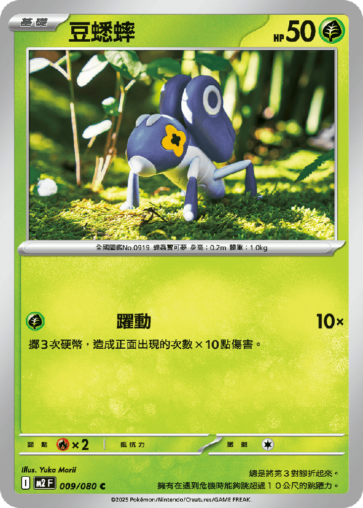 豆蟋蟀 009/080