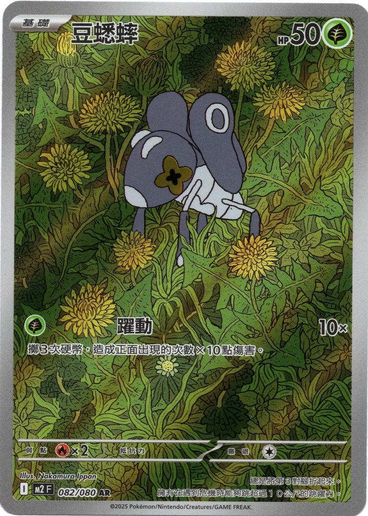 豆蟋蟀 AR 082/080