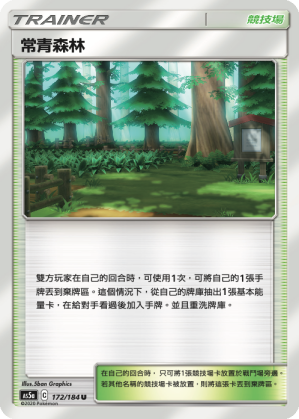 [AS5a_172/184] 常青森林 172/184