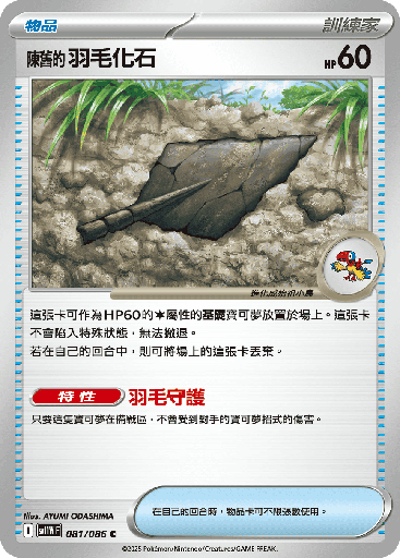 [SV11W_081/086] 陳舊的羽毛化石 081/086
